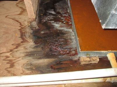 About SurgeNet Crew - water damage restoration experts in South Pasadena