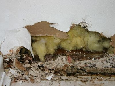 Professional water damage restoration services in South Pasadena - SurgeNet Crew