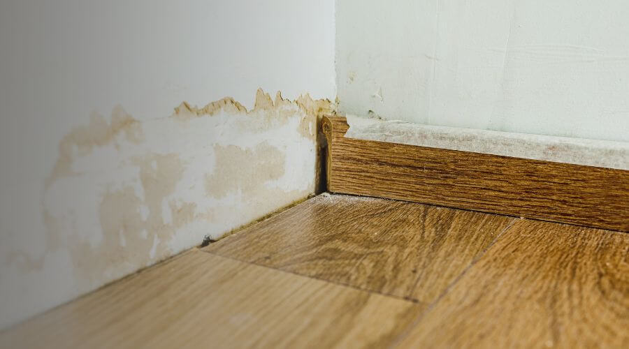 Why choose SurgeNet Crew for water damage restoration in South Pasadena